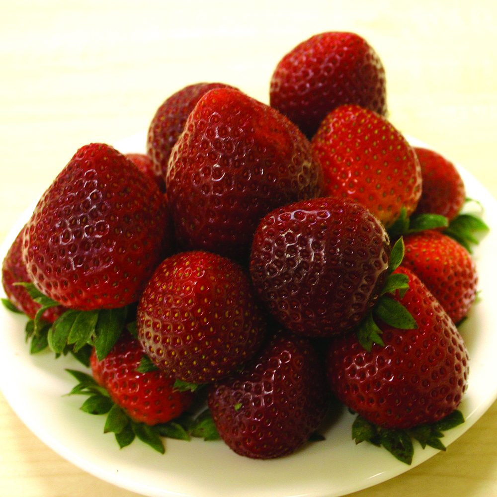 22139A Strawberry A FV